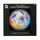 Miami Dolphins Paperweight Domed - Sporticulture