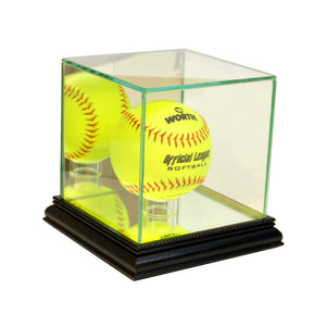 Softball Display Case with Black Moulding