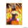 Square Enix -  Final Fantasy: Card Sleeve Series: Vivi (Ffcss-05) (100Ct)
