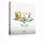 Stonemaier Games -  Tokaido