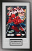 Single Comic Book Frame with Engraving in Classic Moulding