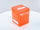 Ultimate Guard - Ultimate Guard Deck Case 100+ Standard Orange