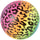 Karuma Car Care 6 in. Rainbow Cheetah Print Ball - Pack of 12