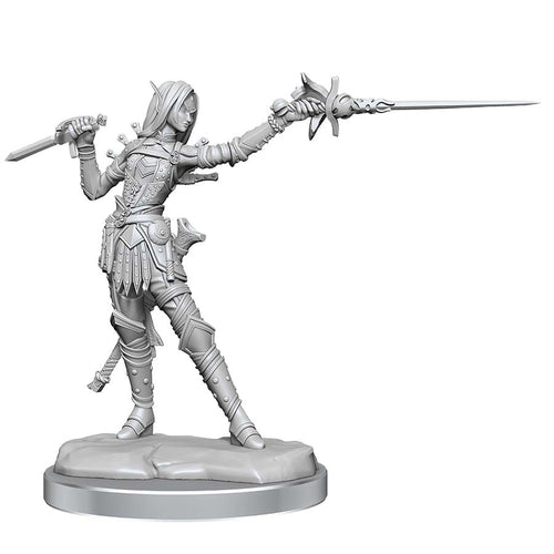 Wizkids -  Pathfinder Battles: Legendary Cuts: W2a Female Elf Rogue