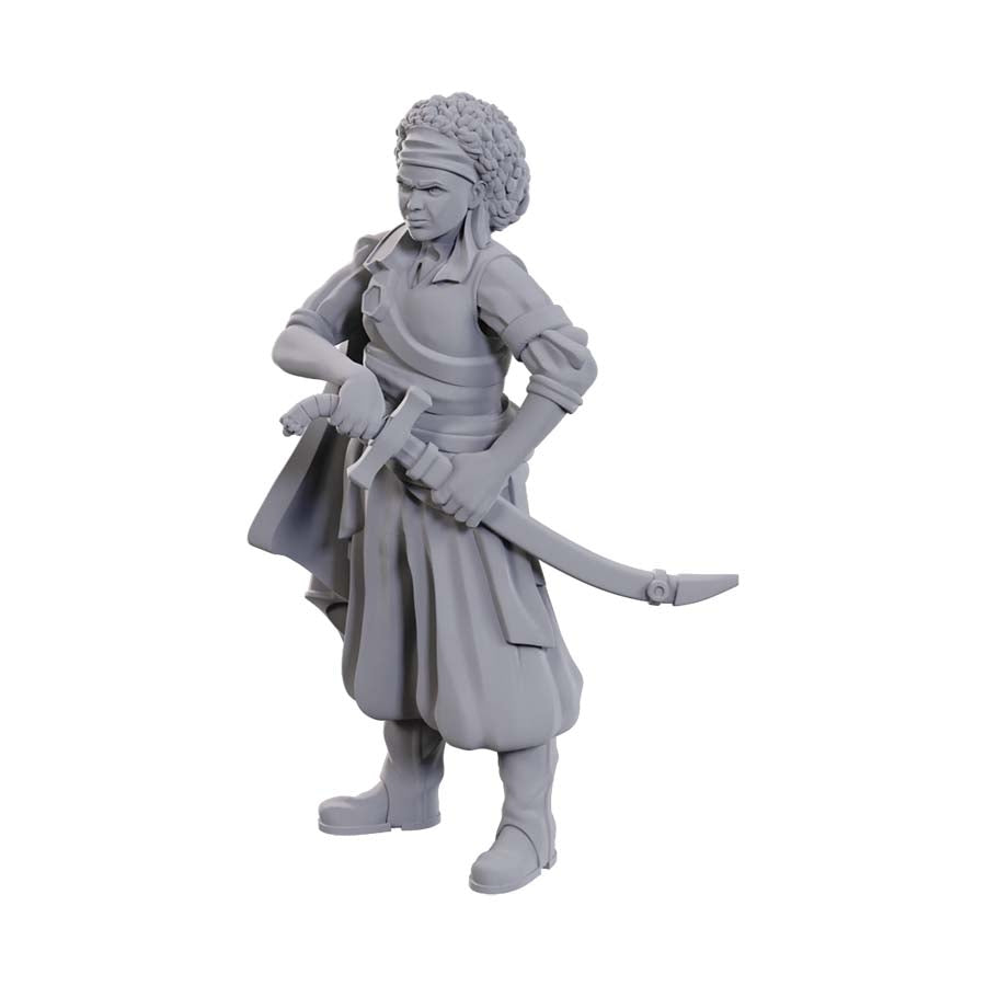 Wizkids -  Dungeons And Dragons Nolzur's Marvelous Miniatures: W23 Ansalon Human Rogue