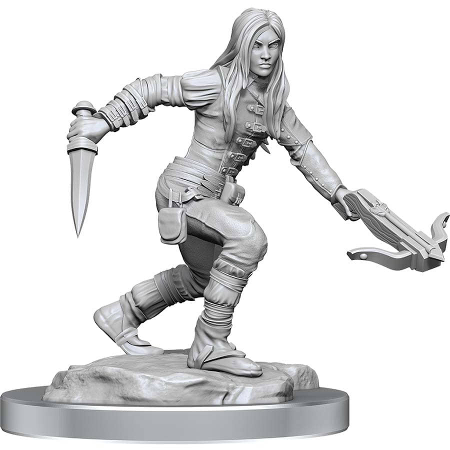 Wizkids -  Dungeons And Dragons Nolzur's Marvelous Miniatures: W17 Female Half-Elf Rogue