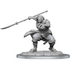 Wizkids -  Dungeons And Dragons Nolzur's Marvelous Miniatures: W17 Oni Female