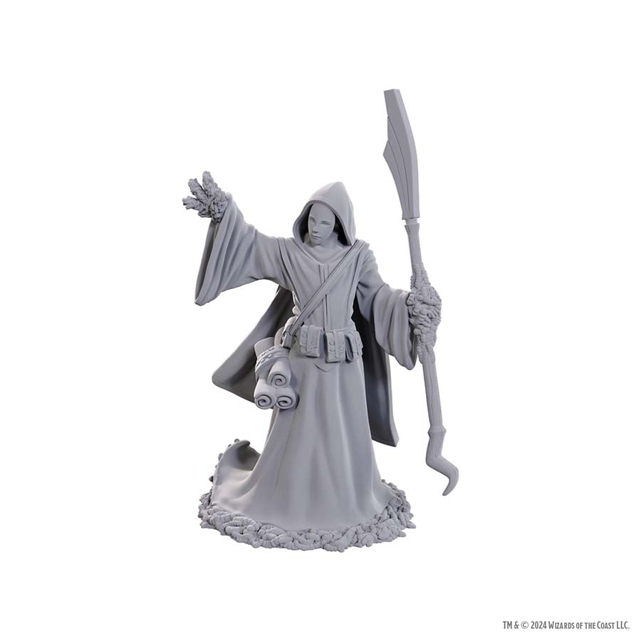 Wizkids -  Dungeons And Dragons Nolzur's Marvelous Miniatures: W25 Star Spawn Larva Mage Pre-Order