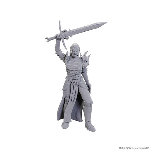 Wizkids -  Dungeons And Dragons Nolzur's Marvelous Miniatures: W25 Blackguard