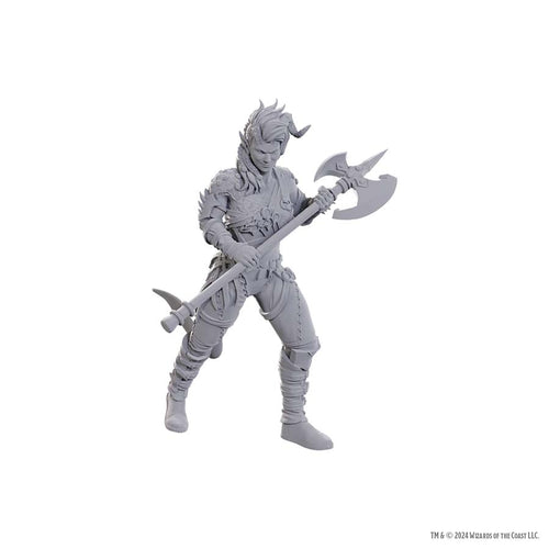 Wizkids -  Dungeons And Dragons Nolzur's Marvelous Miniatures: Special Edition Baldur's Gate 3: Wyll And Karlach