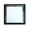 Wall Mounted Base Display Case with Black Moulding