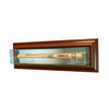 Wall Mounted Mini Bat Display Case with Walnut Moulding