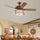 Warehouse of Tiffany CFL-8454REMO-SB 52 in. Jan Indoor Remote Controlled Ceiling Fan with Light Kit  Bronze
