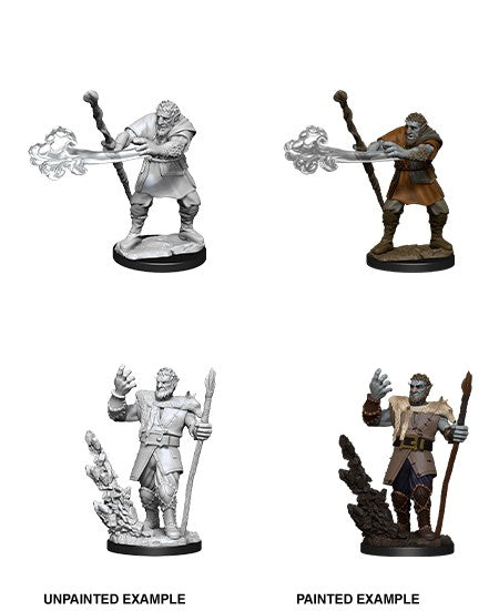 Wizkids - D&D Nolzur's Marvelous Miniatures Wave 11 Male Firbolg Druid