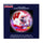 Wisconsin Badgers Paperweight Domed - Sporticulture