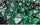 Chessex Mfg Co Llc -  D6 -- 16Mm Translucent Dice - Green/White; 12Ct