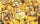 Chessex Mfg Co Llc -  D6 -- 12Mm Translucent Dice - Yellow/White; 36Ct