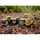 Chessex Mfg Co Llc -  Brushed Dice: Polyhedral Deep Forest With Bronze 7-Die Set