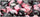 Chessex Mfg Co Llc -  7Ct Gemini Black-Pink W/White Dice Set