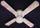 Ceiling Fan Designers 42FAN-DIS-TPFP Tinkerbell Fairy Purple Ceiling Fan 42 in.