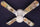 Ceiling Fan Designers 42FAN-KIDS-BSELZ Baby Safari Elephant Lion Zebra Ceiling Fan 42 in.
