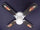 Ceiling Fan Designers 42FAN-KIDS-FFB Flaming Footballs Ceiling Fan 42 in.