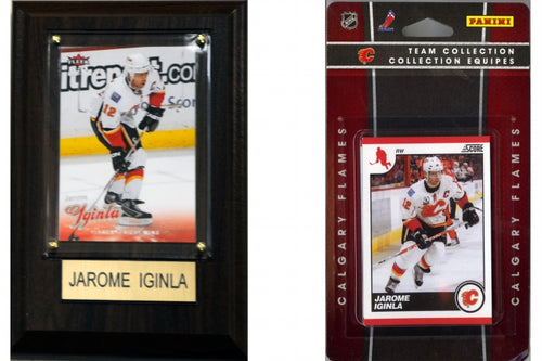 C & I Collectables 10FLAMESFP NHL Calgary Flames Fan Pack