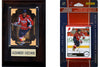 C & I Collectables 10CAPSFP NHL Washington Capitals Fan Pack
