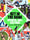 Get in the Game: Sports, Art, Culture - The San Francisco Museum of Modern Art - Tra Publishing