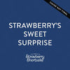 Strawberry's Sweet Surprise - Strawberry Shortcake - Tommy Nelson