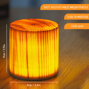 Descriptive image text