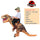 Novelty - T-REX Monster Inflatable Costume Blow Up Cosplay Dinosaur Clothing Carnival Halloween Christma Dress For Man Woman Party Show