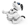 Department Store - Remote Control Robotic Dog RC Dog