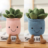 oh my god - 9inch Creative Succulent Plant Decoration; For Garden Green Lovers Cute Succulent Sleep Seat Cushion Home Decoration