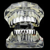 oh my god - New Unisex 18K Hip Hop Teeth Grill Set; Top Bottom Mouth Teeth Grills Fashion Removable Dental Grills Jewelry ROC