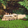 Music Park - 3D Wooden Puzzle Mechanical Train Model Kits Brain Teaser Puzzles Vehicle Building Kits Unique Gift on Birthday Christmas Day