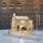 Music Park - 3D Wooden Puzzle Railway station Model Kits To Build Wooden Construction Handmade DIY Craft Unique Gift For Christmas