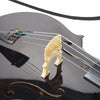 inQ Boutique - 4/4 Wood Cello Bag Bow Rosin Bridge Black (Old code:85409801)