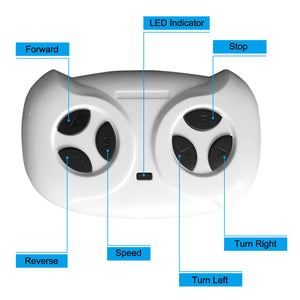 Descriptive image text