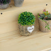 Yeah Depot - Hanging Balcony Table, Spruce Wood Foldable Railing Bar, Serving Table & Desk, Fits up to 3.9 Inches, Natural