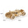 Smilegive - Robotime ROKR Grand Prix Car 3D Wooden Puzzle Game Assemble Racing Car Model Toys for Children Christmas Gifts MC401 Dropship