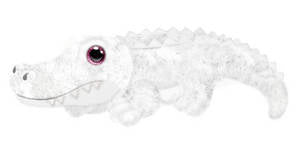 First & Main Inc. - White Gator 15''