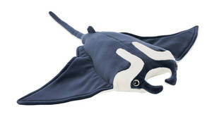 First & Main Inc. - MANTA RAY - MEDIUM 19''