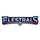 Elestrals - Elestrals Tcg: Divine Champions Snowshade - Stellar Owlune Double Blister Pack Pre-Order