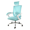 Elama  Full Back Mesh Adjustable Office Chair with Headrest in Blue with White Frame