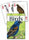 Adventure Publications AP33618 Birds of the Southwest Playing Cards