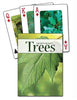 Adventure Publications Inc. AP33915 Trees of the Northeast Playing Cards