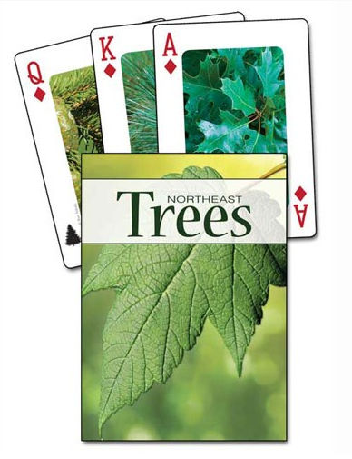 Adventure Publications Inc. AP33915 Trees of the Northeast Playing Cards