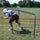Jaypro Sports FBLMCH Professional Lineman Chute