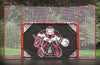 Olympian Athlete 2 In. Folding Hockey Goal With Backstop&#44; Shooter Tutor & Targets